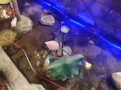 -城墙拐拐火锅(三峡广场黑金冠店)