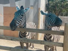 -水上乐园·欢乐世界