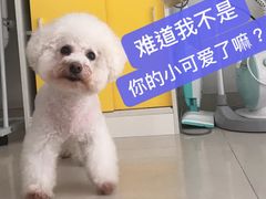 -老上居·手工春饼(贝尔路店)