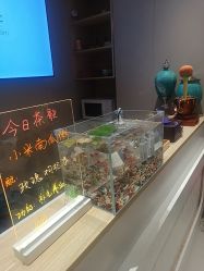 -克丽缇娜