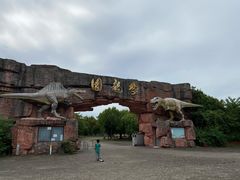 -上海海湾国家森林公园