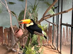 -北京野生动物园