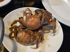-皇家5号海鲜烤肉火锅自助餐(聊城总店)