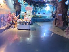 -烟台海昌鲸鲨海洋公园