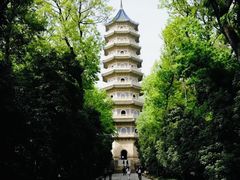 -灵谷景区