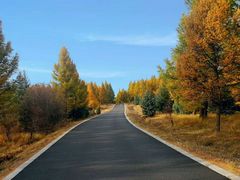 -塞罕坝国家级自然保护区