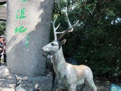 -溱湖国家湿地公园