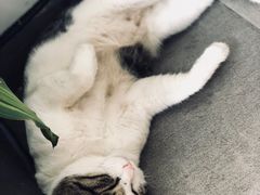 -UNI UNI(环亚凯瑟琳店)