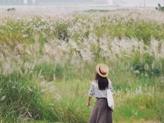 -菜园坝水果市场