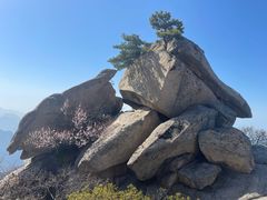 -华山风景名胜区
