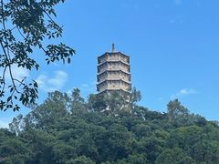 -深圳国际园林花卉博览园