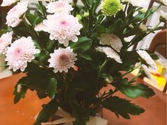 -章云板鸭(总店)