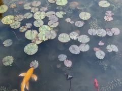 -南通洲际绿博园