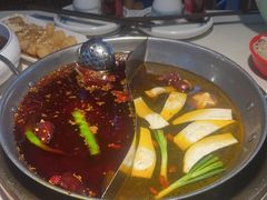 -二荆条·城市森林火锅旗舰店