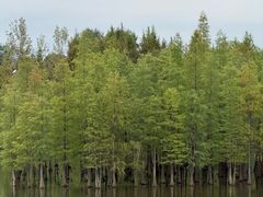 -白鹭湾湿地公园