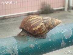 -南丫岛