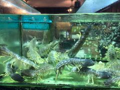 -真浪大家乐海鲜餐馆