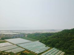 -伍山石窟