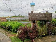-Ohkajhu Organic Farm Sansai