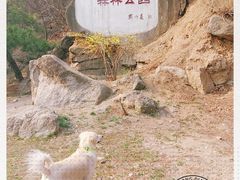 -白水寺森林公园