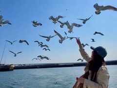 -星海湾跨海大桥