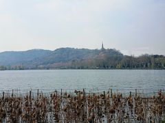 -湖畔居茶楼(湖滨店)