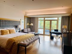 -深圳东部华侨城茵特拉根酒店