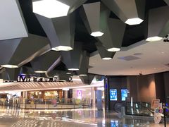 -星河寰宇IMAX影城(星河WORLD·COCO Park店)