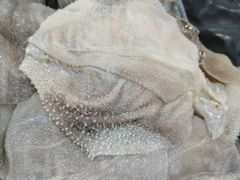 -铜元老码头鳝鱼火锅