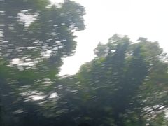 -融汇温泉