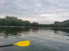 -WhaleSports户外水上运动俱乐部(朝阳公园店)