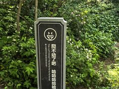 -浮槎山