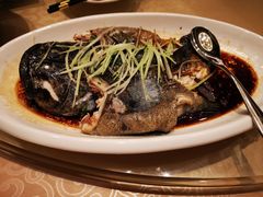 油泼深海清斑鱼-新希望诺富特酒店-青岛湾中餐厅