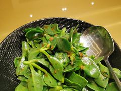 -青岛海景花园大酒店
