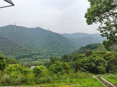 -北仑森林植物园