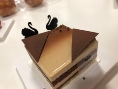 -BLACKSWAN黑天鹅(环球店)