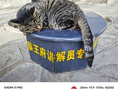 -恭王府博物馆