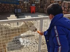 -金庭庄园酒店-停车场