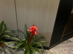 -澜悦汇推拿足道(蓝村路店)