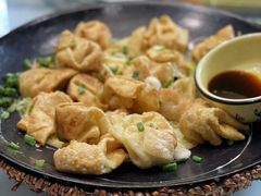 煎馄饨-王家厨房(新华路店)