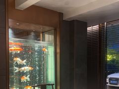 -浩运·海鲜青岛菜·海胆水饺(石老人店)