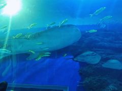 -成都浩海立方海洋公园