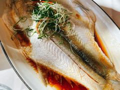 白条鱼-春暖花开(西溪店)