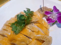 -新高记·粤菜·湛江鸡(南头古城店)