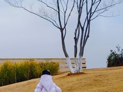 -盘龙城国家考古遗址公园