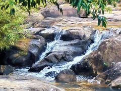 -广州白江湖森林公园