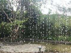 -亚龙湾热带天堂森林公园