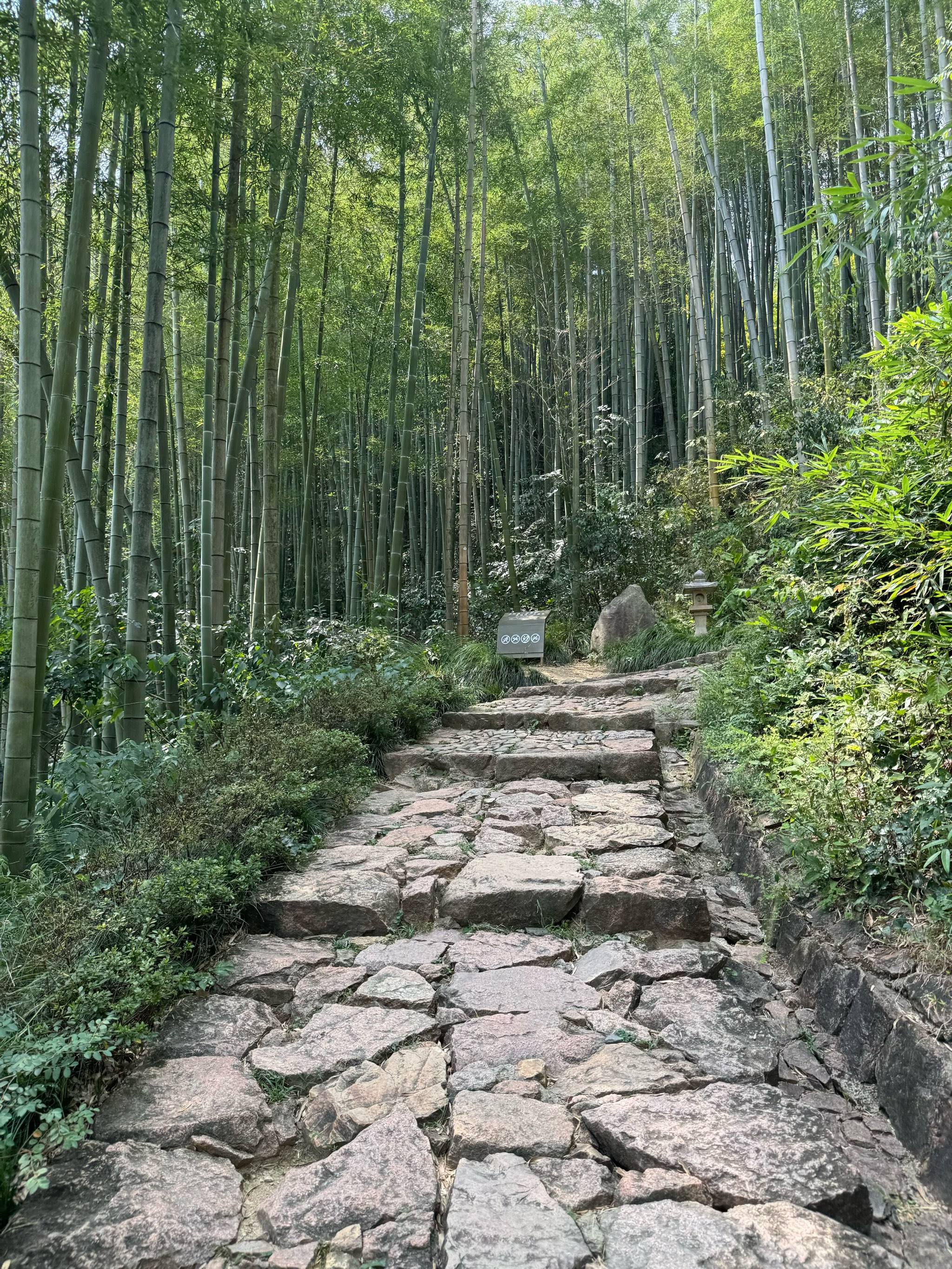 璧山黛山大道丁家段图片