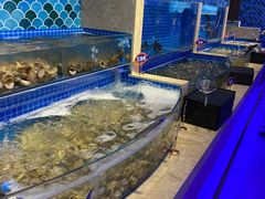 -乔哥铭洋海鲜自助(皇城恒隆广场店)