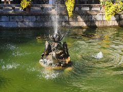 -上海醉白池公园